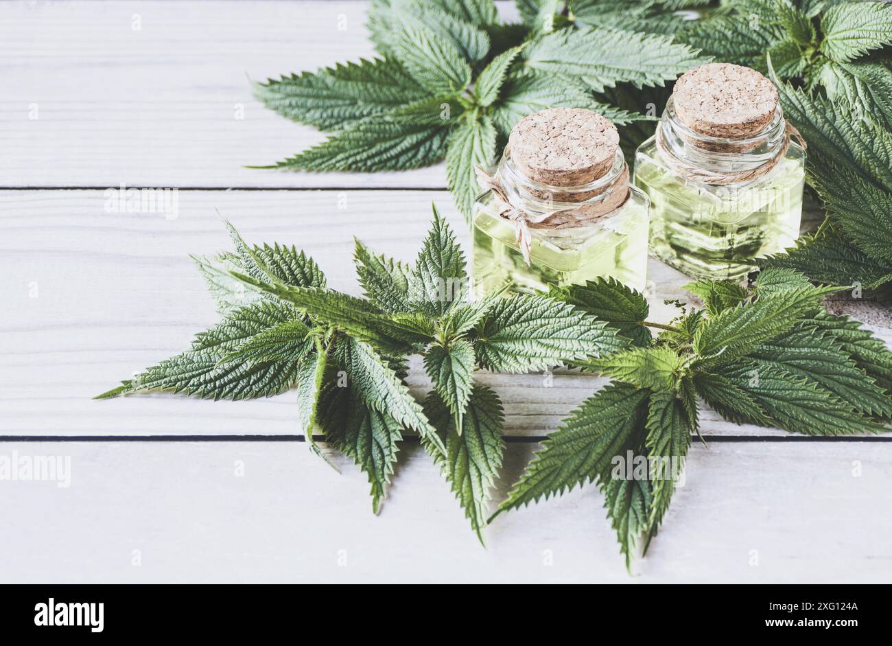 Olio di ortica e foglia di ortica fresca (Urtica dioica) su un tavolo di legno bianco Foto Stock