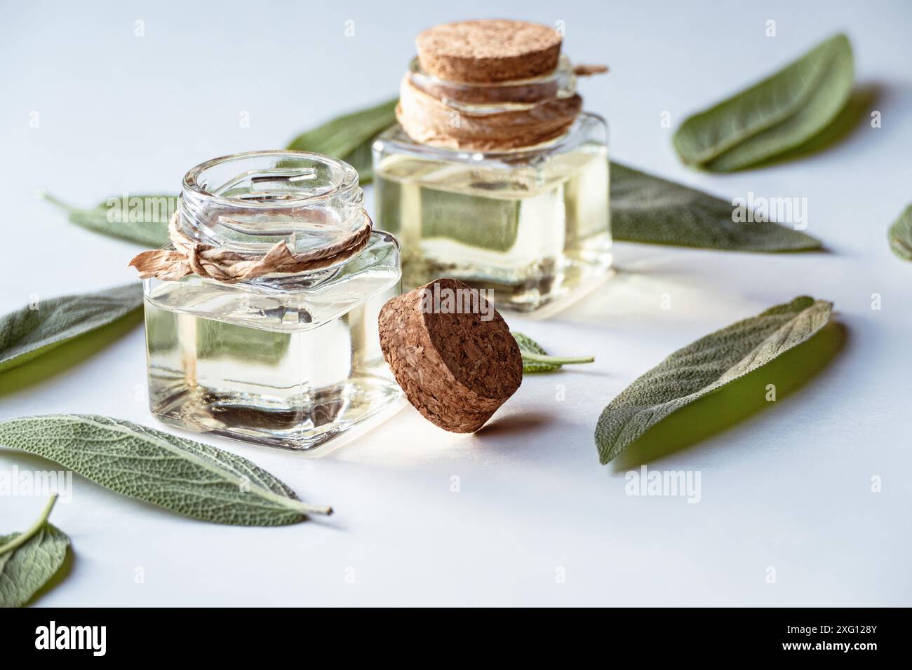 (Salvia Officinalis) olio di salvia, olio di salvia fatto in casa in bottiglie di vetro, foglie verdi su sfondo bianco Foto Stock