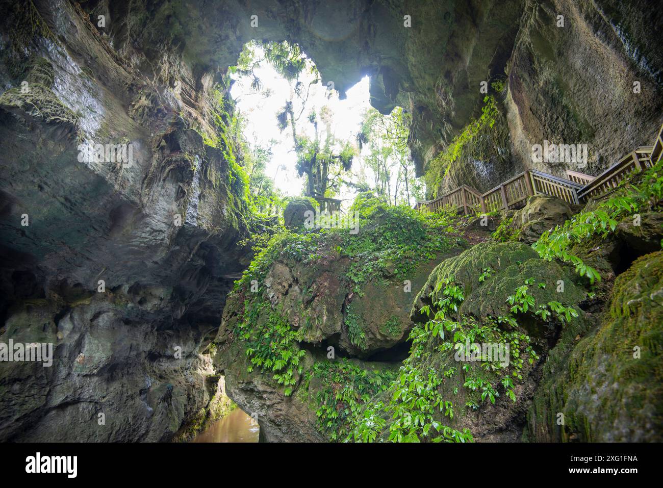 Gola calcarea di Mangapohue - nuova Zelanda Foto Stock