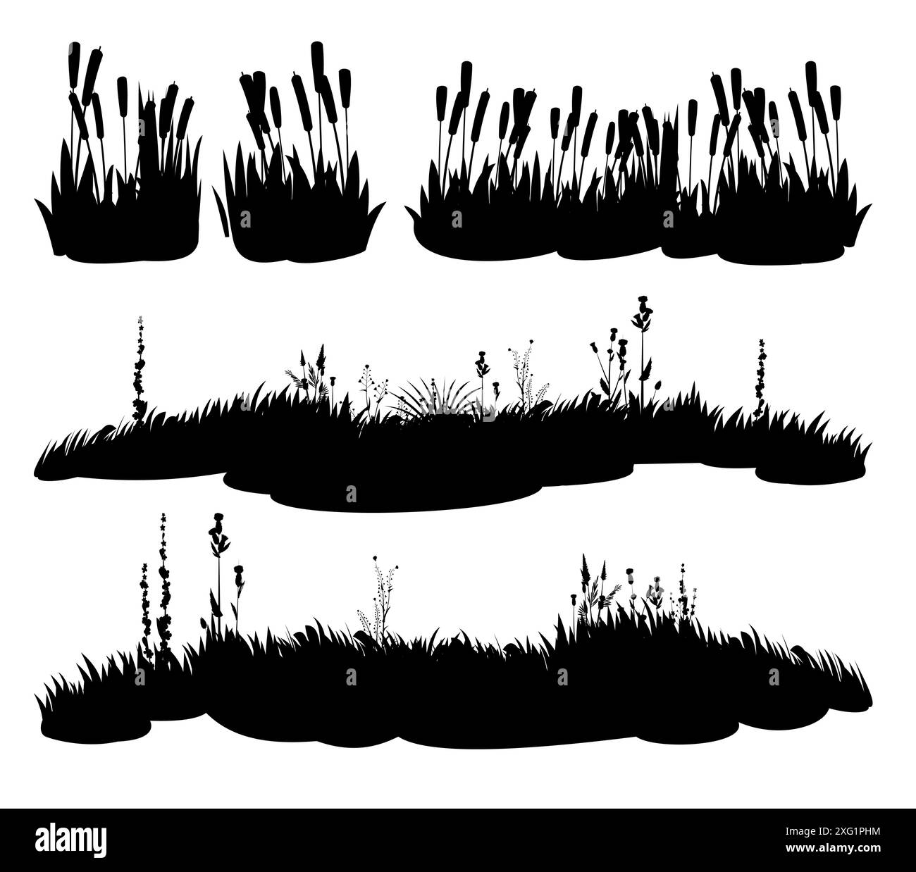 set di canne per palude. Immagine della silhouette nera isolata su sfondo bianco. Riva del fiume vettore. Piante costiere. Biglietti per Wild Shoot. Illustrazione Vettoriale