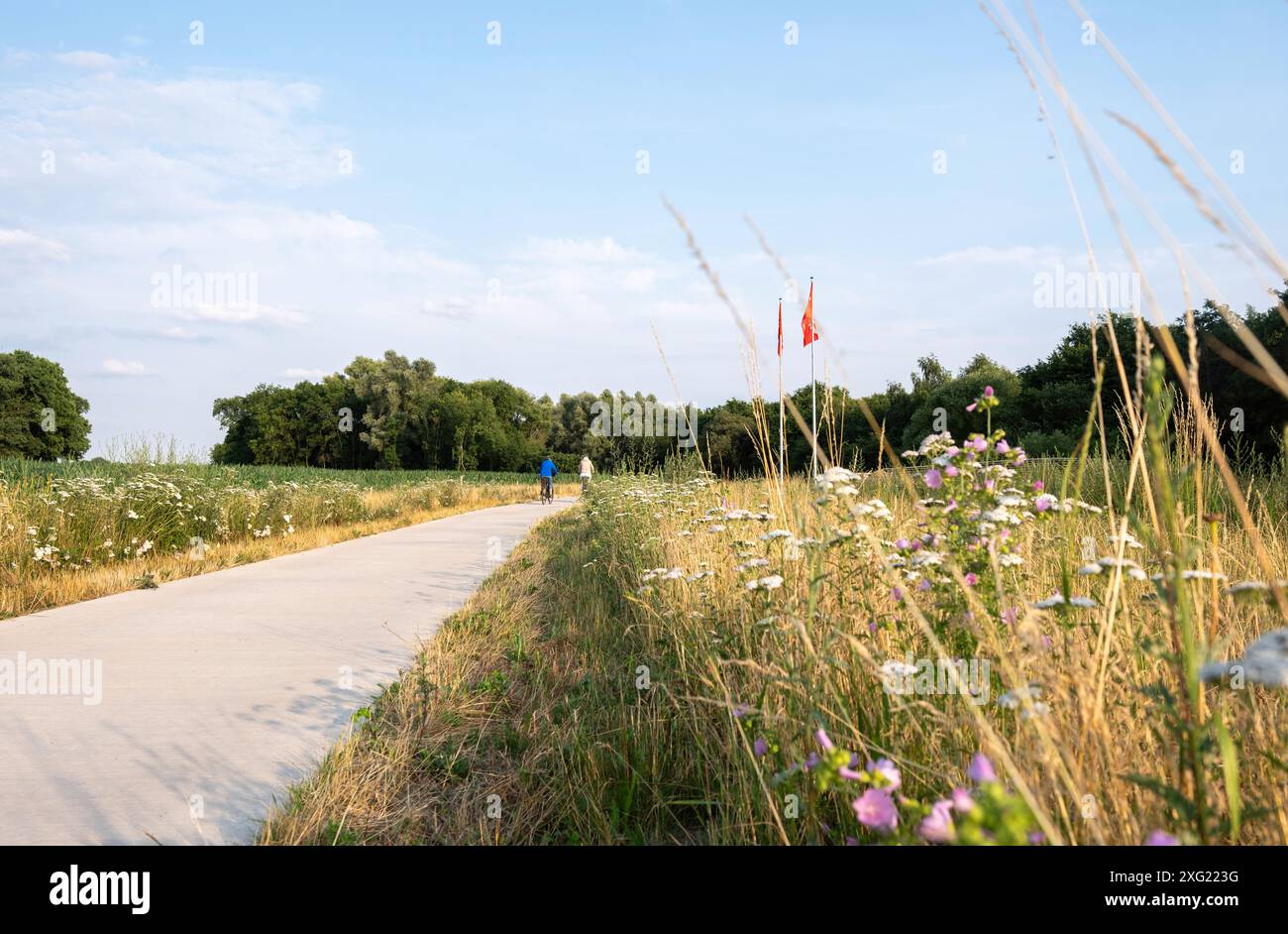 Bella vista di un tornante in campagna d'estate. Strada ben curata con erba tagliata. Gronau, Germania 2024. Foto Stock