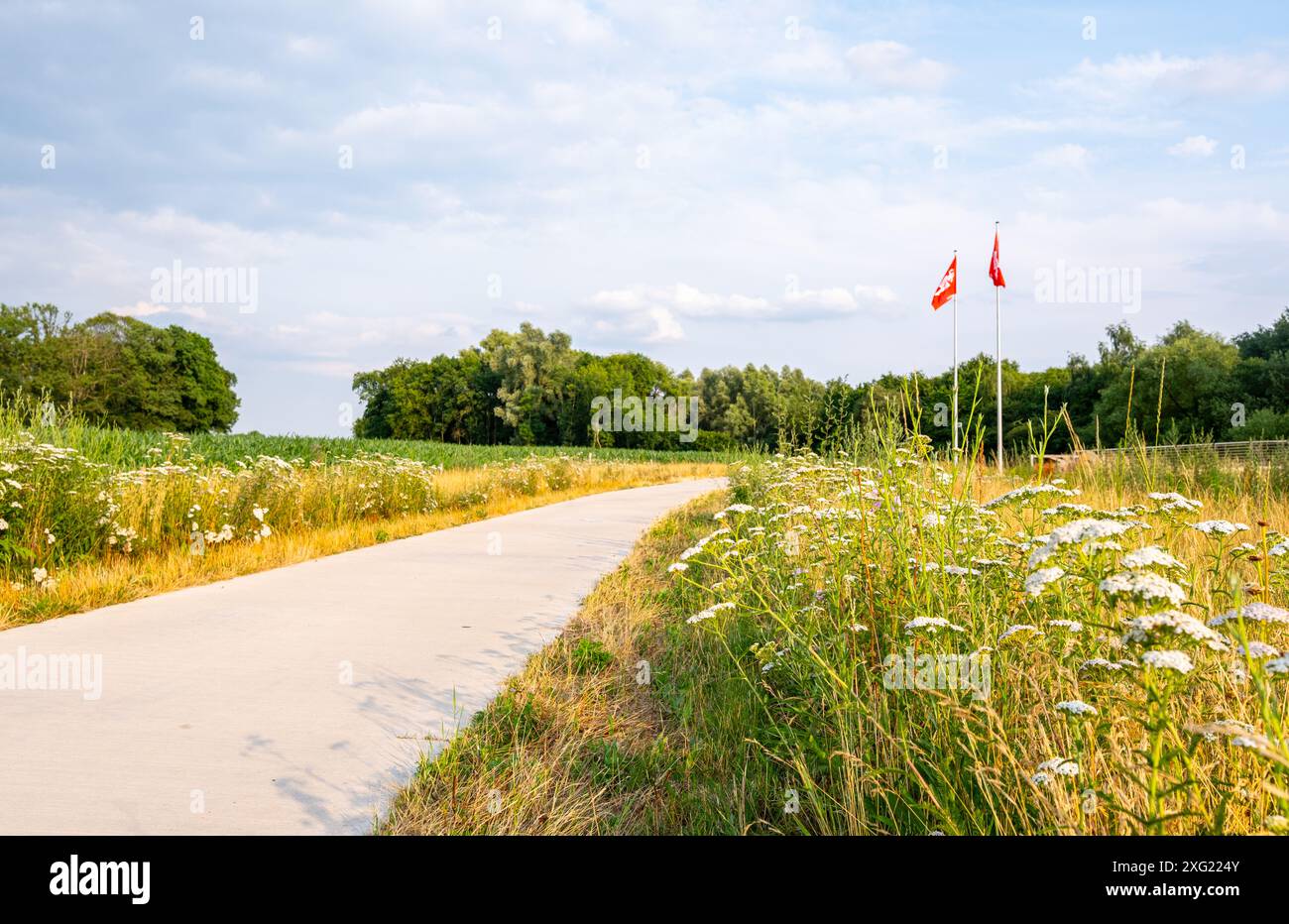Bella vista di un tornante in campagna d'estate. Strada ben curata con erba tagliata. Gronau, Germania 2024. Foto Stock