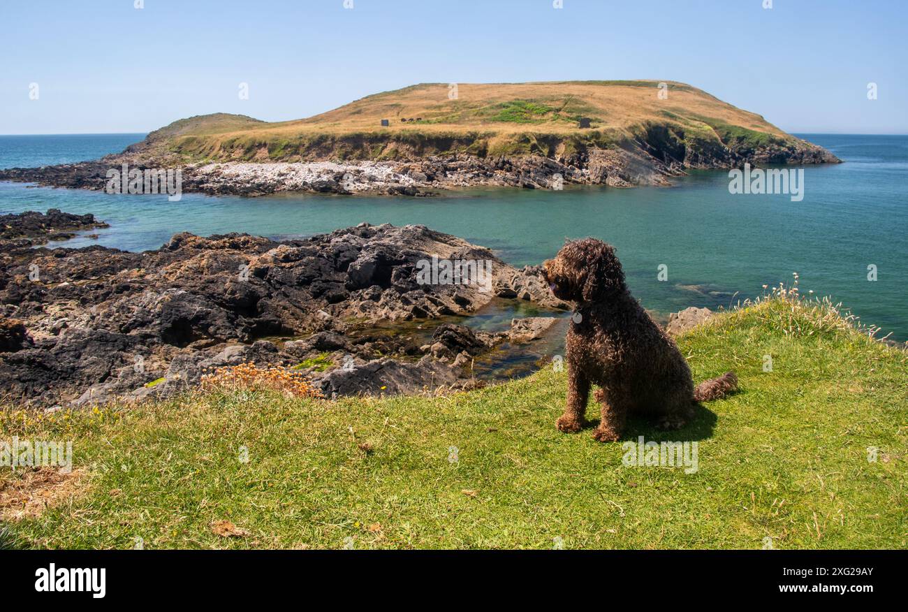 Rhossili Bay, Galles Foto Stock