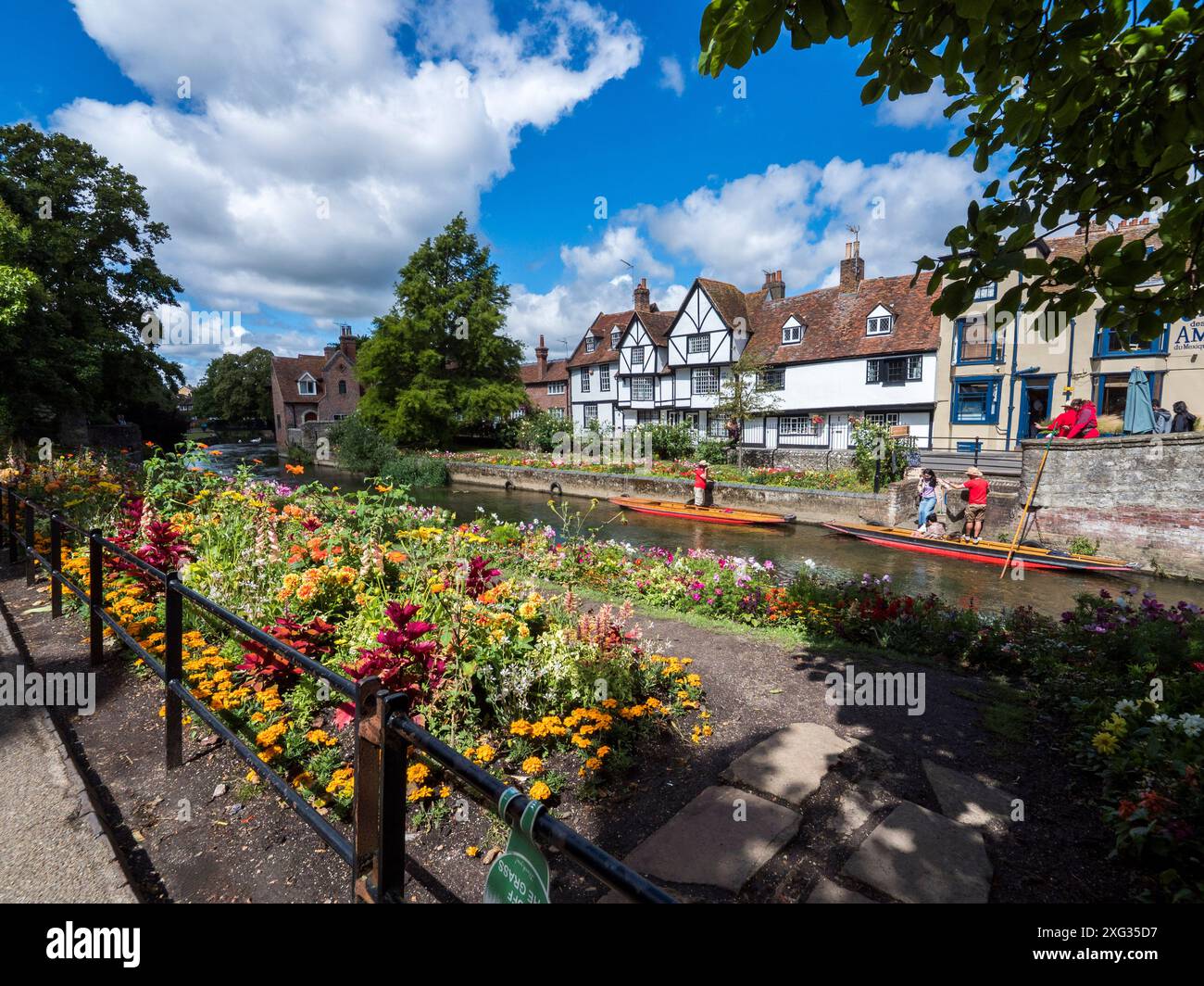 Canterbury, Kent, Regno Unito. 6 luglio 2024. Meteo nel Regno Unito: Giornata di sole a Canterbury Westgate Gardens, Kent. Crediti: James Bell/Alamy Live News Foto Stock