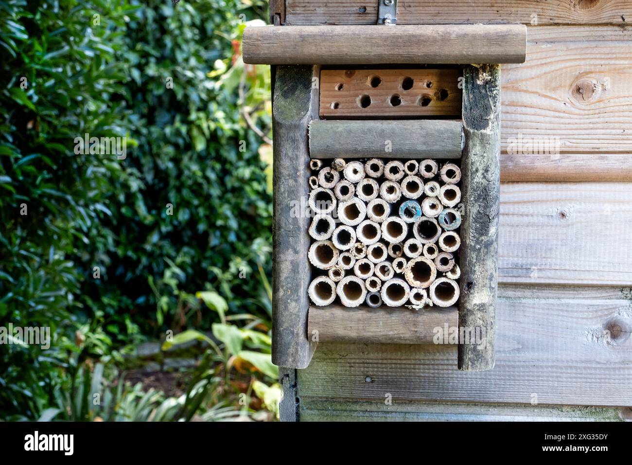 Bug hotel in un giardino nel Kent Regno Unito Foto Stock