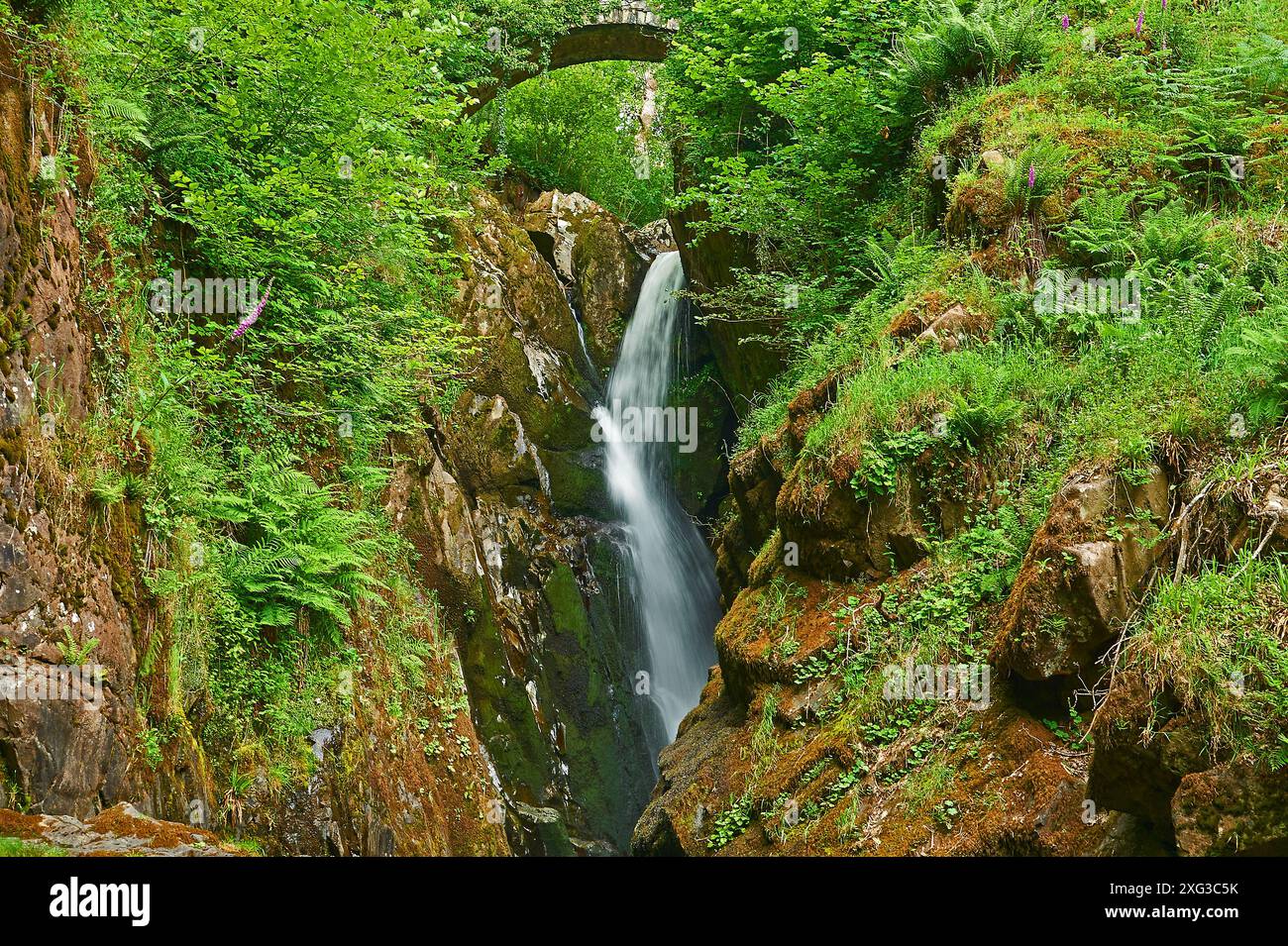 Cascata Aira Force, la cascata a goccia più alta d'Inghilterra nel Lake District National Park Foto Stock