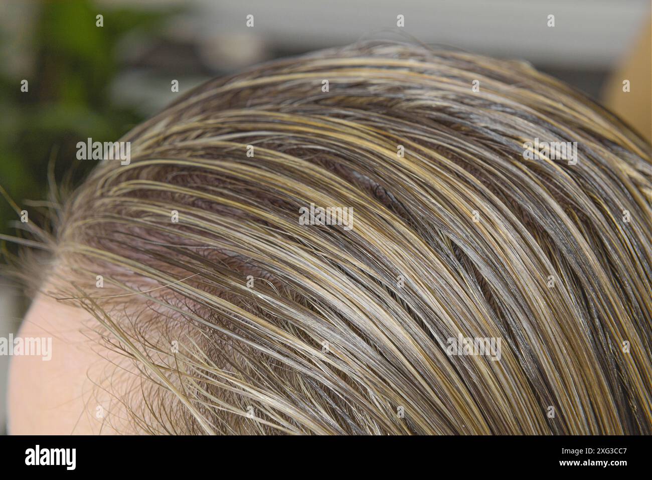 I capelli bagnati di una donna sono pettinati e modellati per la tintura. primo piano Foto Stock