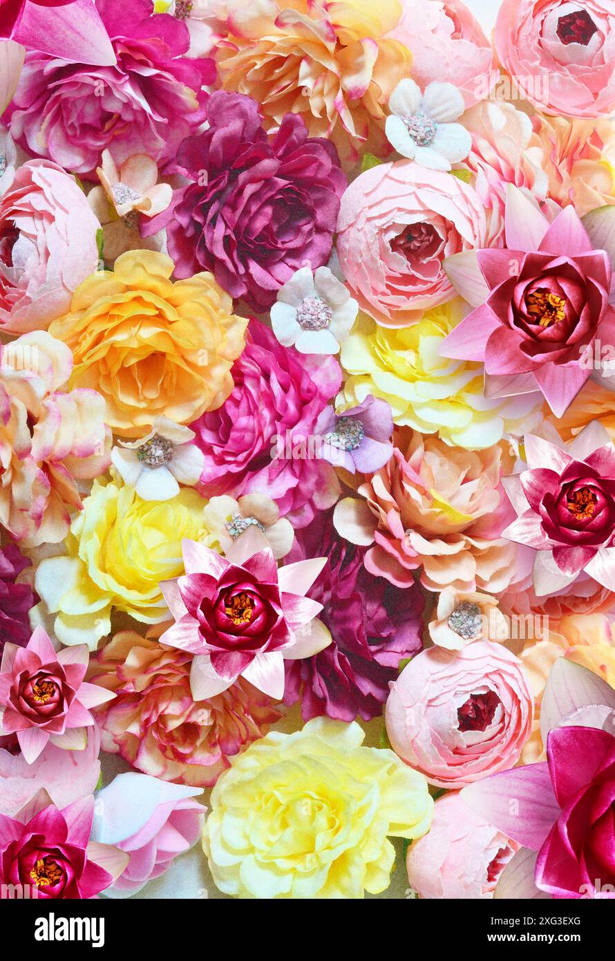 Rose colorate e sfondo bianco di fiori piccoli. Bello, buono per vacanze e regalo. Fiori modello. Foto Stock