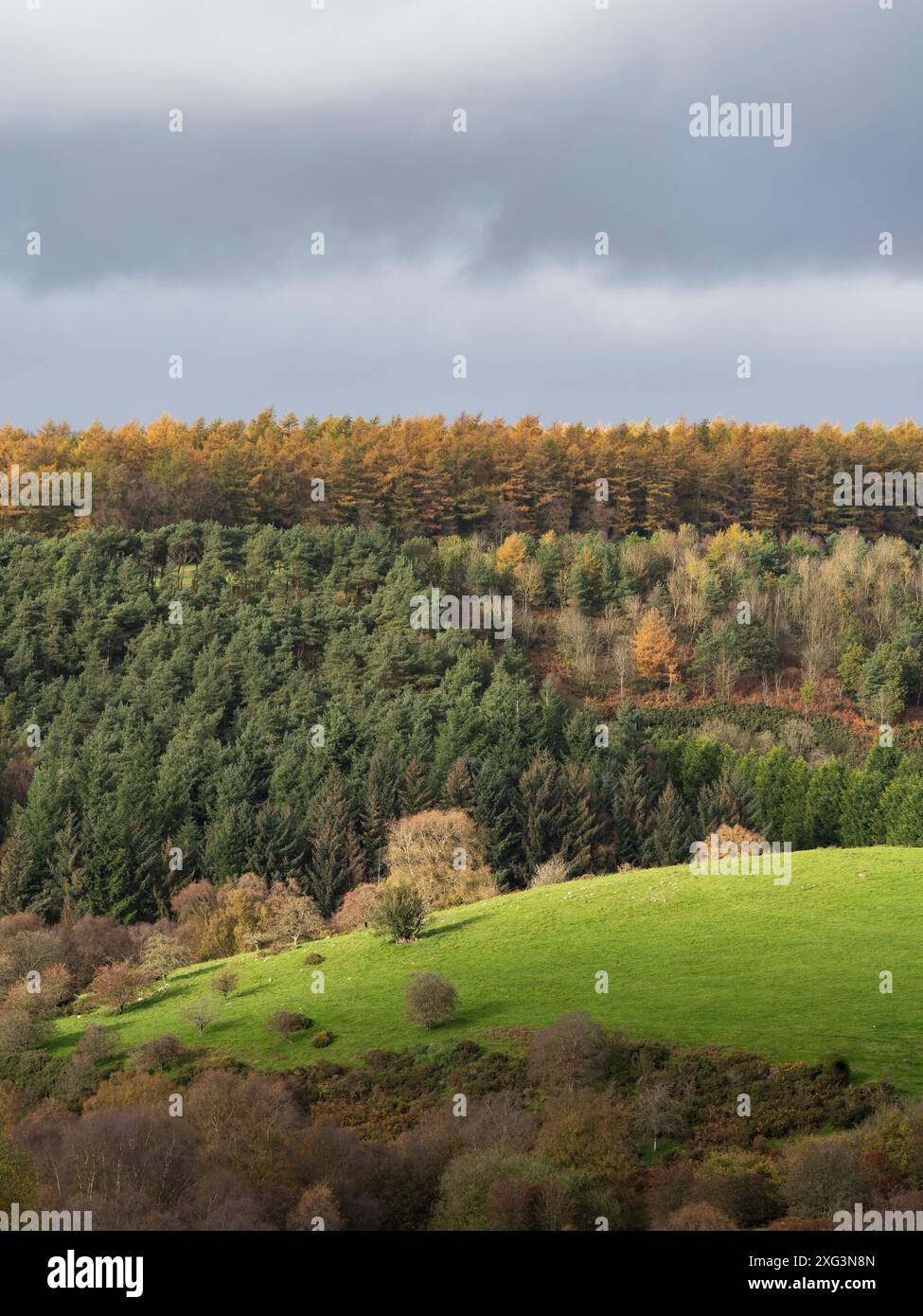 Paesaggi spettacolari e viste da The Stiperstones, una cresta di quarzite esposta nel South Shropshire, Regno Unito Foto Stock