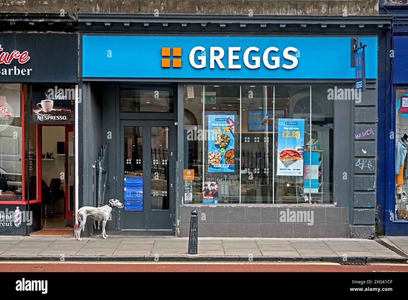 Cane in attesa fuori da un negozio di panetteria Greggs in South Clerk Street, Newington, Edimburgo, Scozia, Regno Unito. Foto Stock