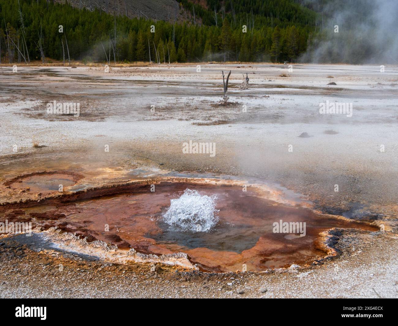 Situato in cima a un enorme super vulcano, il parco nazionale di Yellowstone ospita straordinarie caratteristiche termali Foto Stock