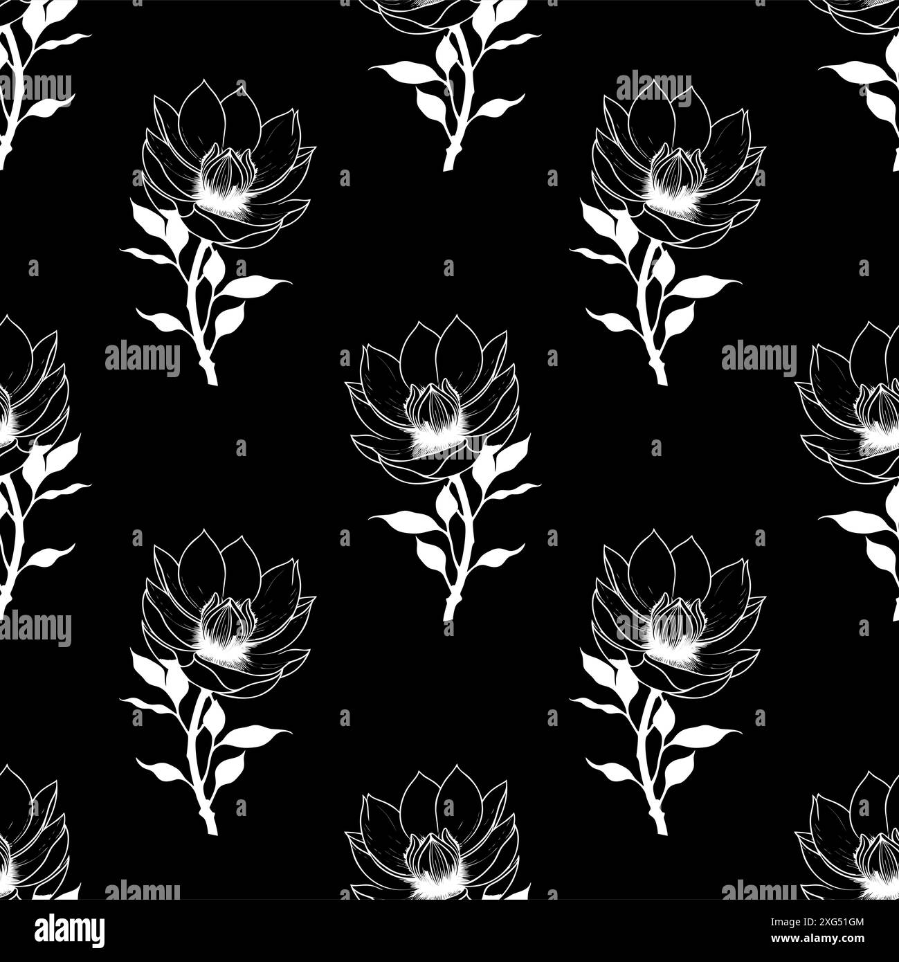 motivo simmetrico senza cuciture di fiori magnolia bianchi su sfondo nero, texture e design Foto Stock