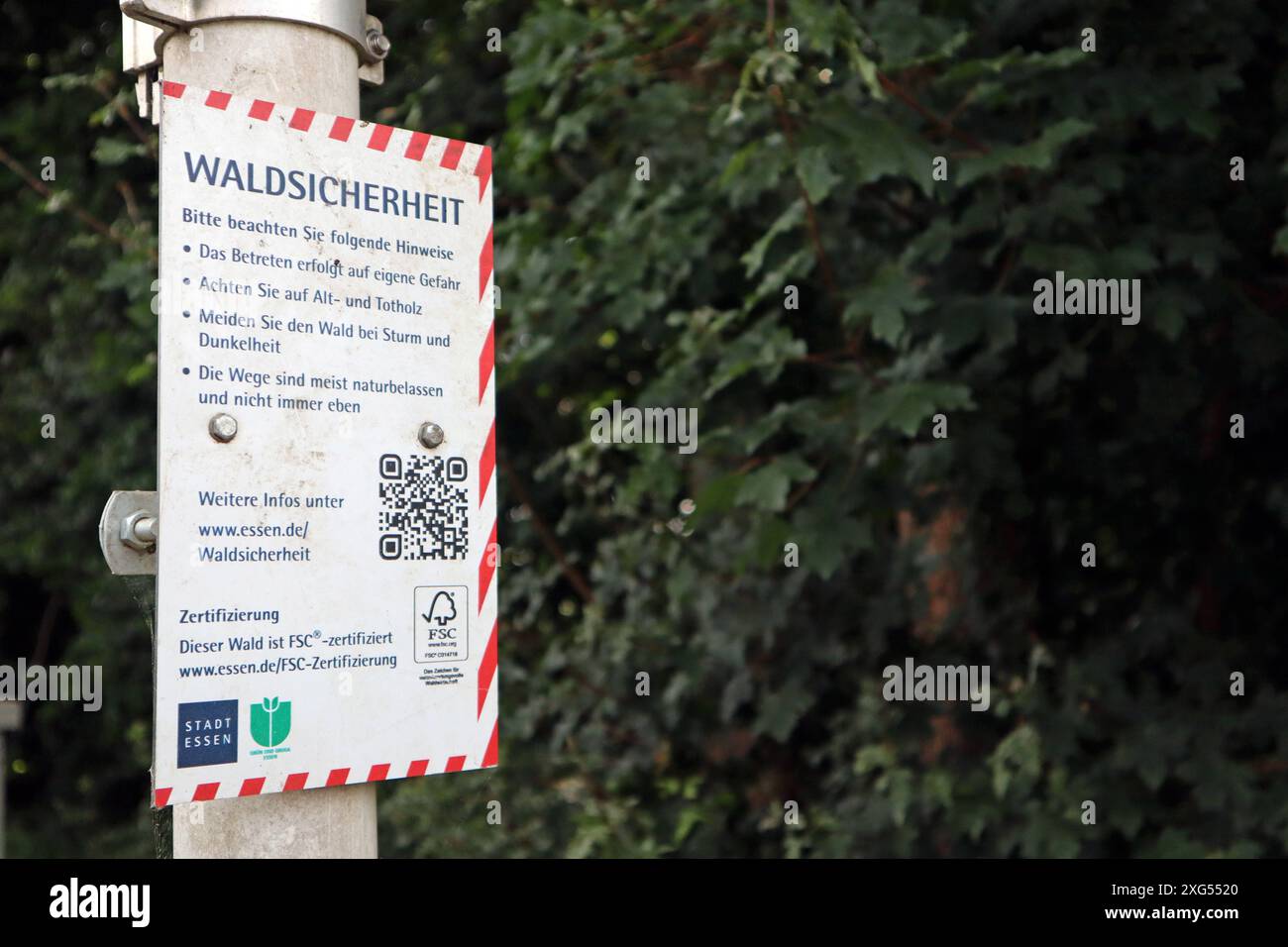 Wege durch den Wald ed Hinweisschild auf Waldsicherheit für Spaziergänger und Wanderer *** sentieri attraverso la foresta Un cartello di sicurezza per escursionisti e escursionisti Foto Stock