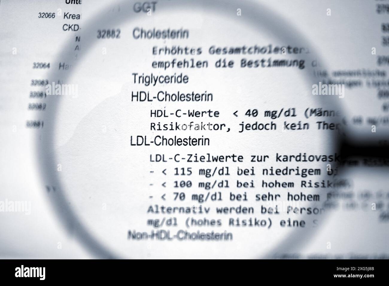 Cholesterinwerte Foto Stock