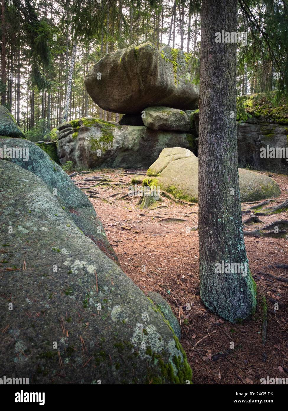 Pietra di granito nella foresta, Blockheide, Austria Foto Stock