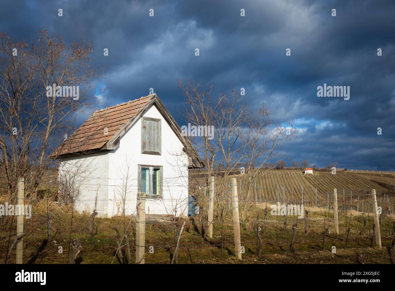 Nuvole invernali blu scuro ai vigneti di Neckenmarkt Burgenland con piccolo capannone Foto Stock