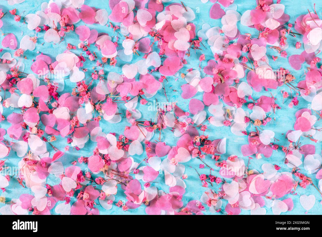 San Valentino o sfondo di nozze con cuori di carta rosa e fiori di rosa confetti, un piatto su sfondo blu Foto Stock