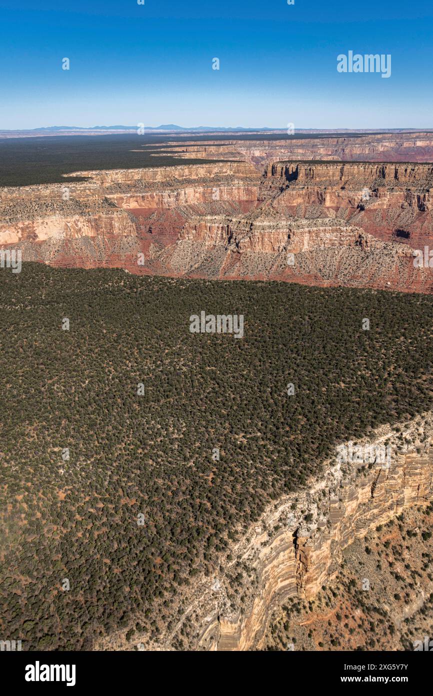 Grand Canyon Sout Rim, California, Stati Uniti. Vista aerea dall'elicottero Foto Stock