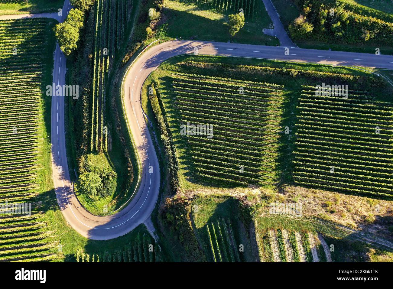 Vista aerea del Texas Pass sul Kaiserstuhl con vista sui vigneti. Oberbergen, Breisgau, Foresta Nera, Friburgo, Baden-Wuerttemberg Foto Stock