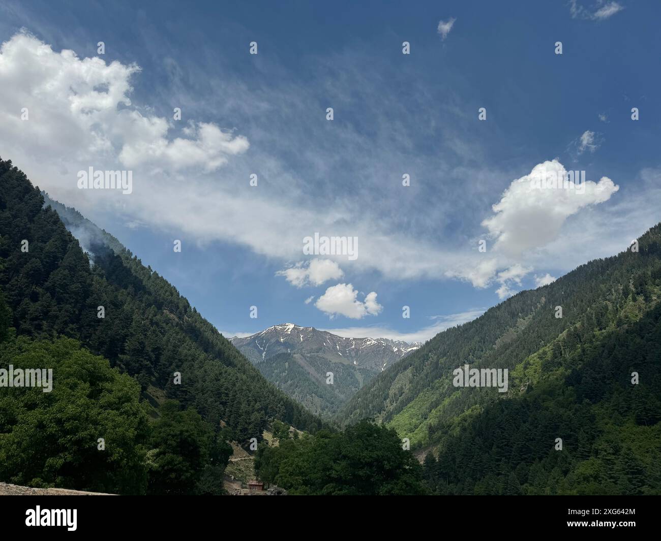 India. 6 luglio 2024. Naranag è un tempio indù circondato da montagne. E' un'attrazione turistica che si trova nel quartiere di Ganderbal a circa 60 km da Srinagar, capitale estiva di Jammu e Kashmir. Non solo attrazioni turistiche, ma Naranag funge anche da base per gli escursionisti. Sulla cima delle montagne si trova un bellissimo lago chiamato "lago gangbale". Che collega il sentiero con altre destinazioni di trekking popolari. (Foto di Musaib Iqbal Bhat/Pacific Press) credito: Pacific Press Media Production Corp./Alamy Live News Foto Stock