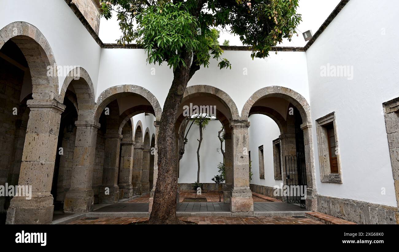 GUADALAJARA, JALISCO, MESSICO: Il Museo Cabañas (Museo Cabanas) ha numerosi cortili in cui sedersi e contemplare la storia che ti circonda. Foto Stock