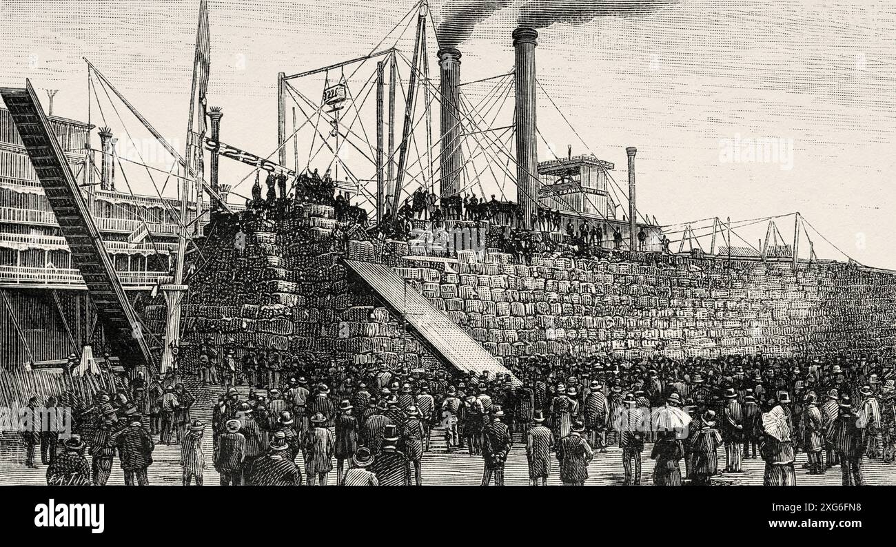 Battello a vapore nel porto di New Orleans, carico di balle di cotone. STATI UNITI. Vecchia illustrazione incisa del XIX secolo da la Nature 1886 Foto Stock