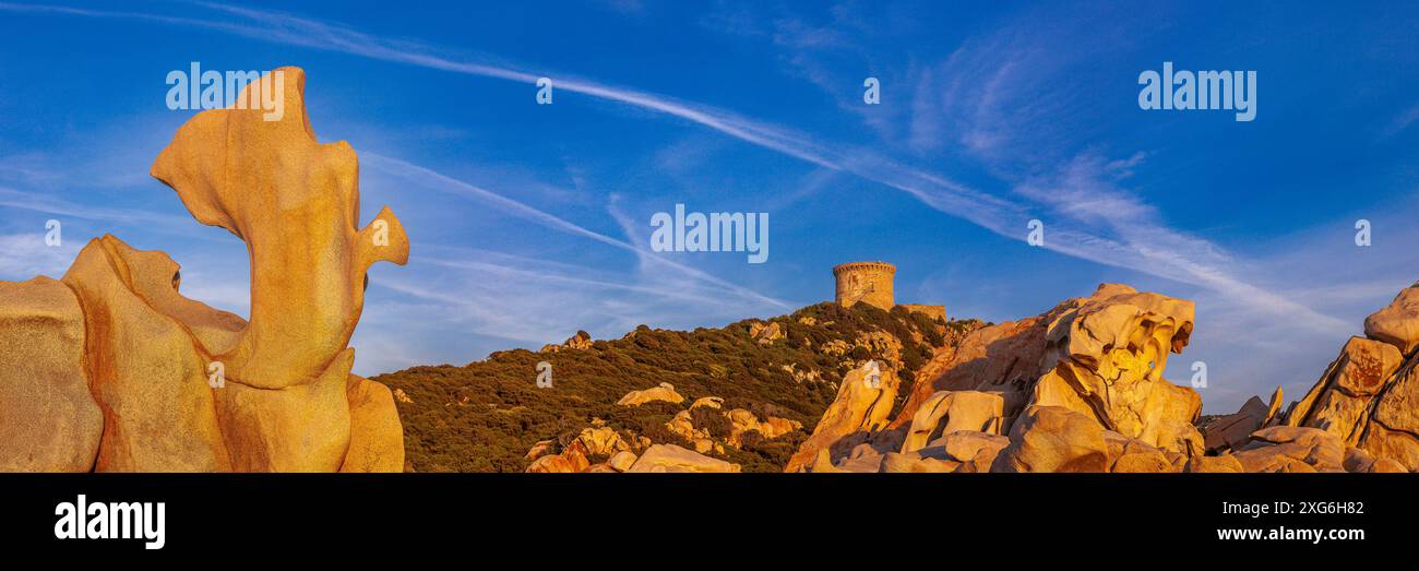 FRANCIA. CORSICA DU SUD (2A) GOLFO DI VALINCO, BAIA DI CAMPOMORO. TORRE GENOVESE DI CAMPOMORO E LA ROCCIA DEL DELFINO Foto Stock