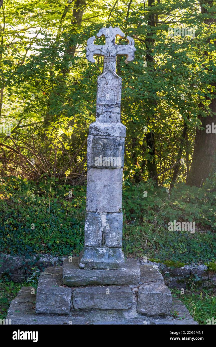 Croce dei pellegrini all'uscita di Roncesvalles, XIV secolo, strada di Santiago, Navarra, Spagna. Foto Stock