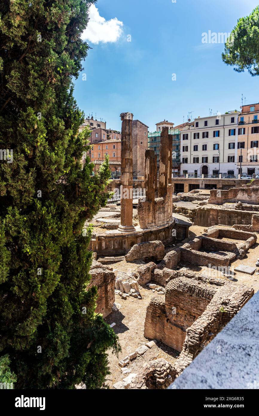 Largo di Torre Argentina costruito su un'importante area archeologica di epoca romana, oggi la più antica colonia di gatti della città, a Roma, Italia. Foto Stock