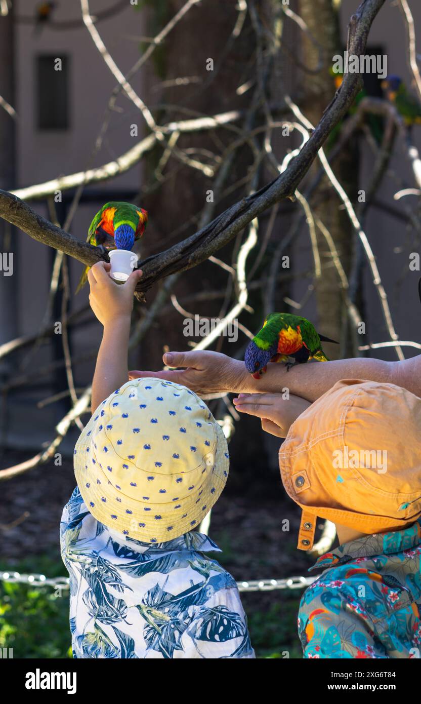 Due fratelli, vestiti con camicie estive e cappelli per proteggersi dal sole, si stagliano in un ambiente naturale, dando da mangiare ai pappagalli con i semi. Il vibrante Foto Stock