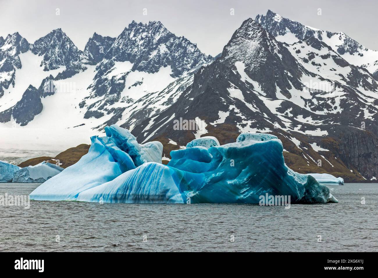 Drygalski Fjord, Georgia del Sud, domenica 26 novembre 2023. Foto: David Rowland / One-Image.com Foto Stock