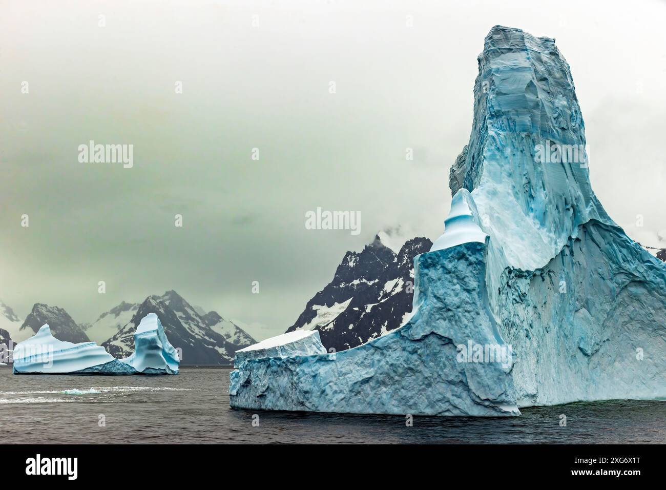Drygalski Fjord, Georgia del Sud, domenica 26 novembre 2023. Foto: David Rowland / One-Image.com Foto Stock