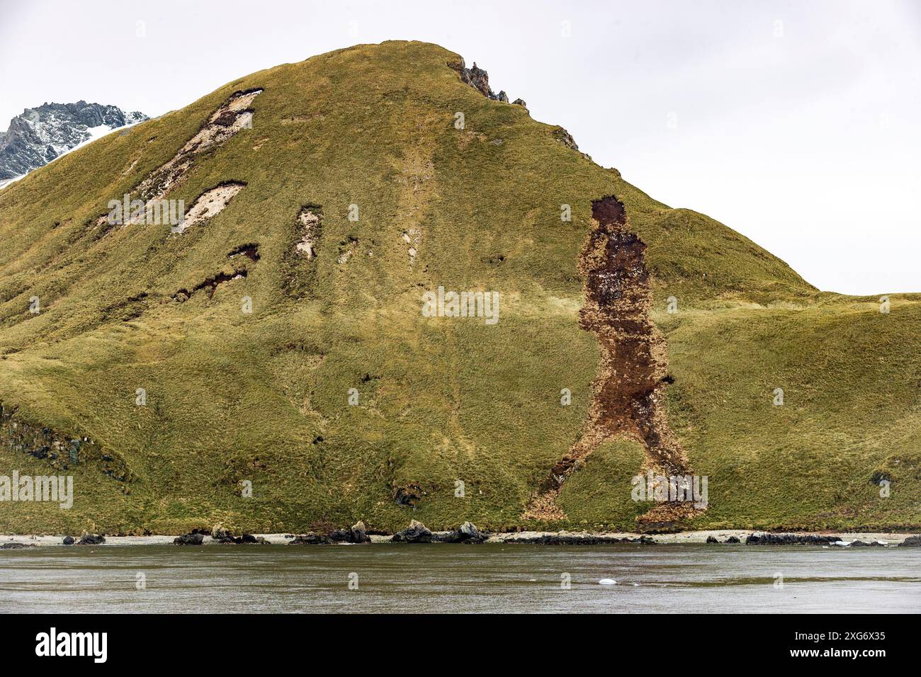 Drygalski Fjord, Georgia del Sud, domenica 26 novembre 2023. Foto: David Rowland / One-Image.com Foto Stock