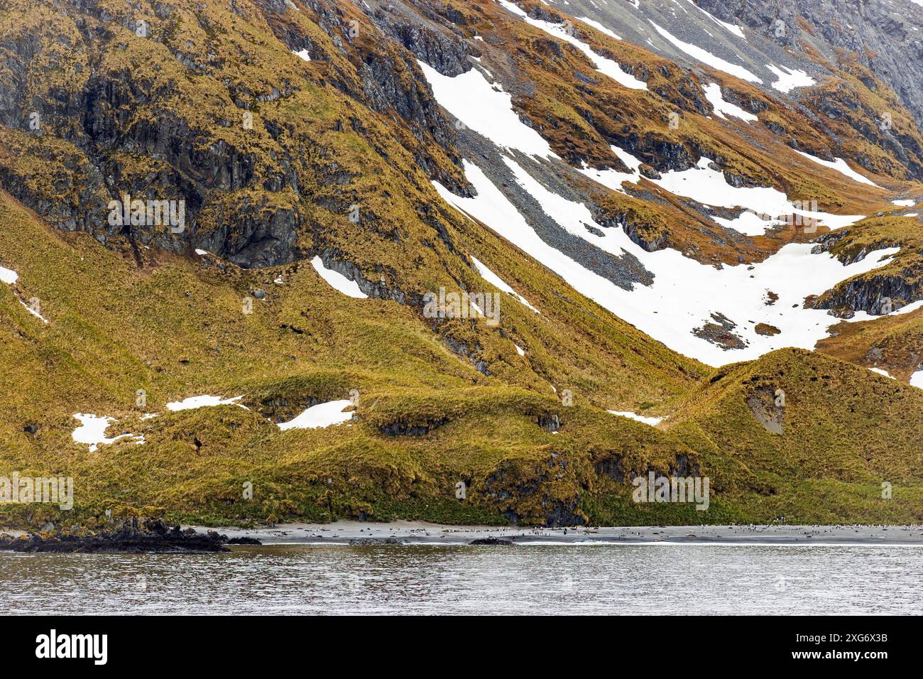 Drygalski Fjord, Georgia del Sud, domenica 26 novembre 2023. Foto: David Rowland / One-Image.com Foto Stock