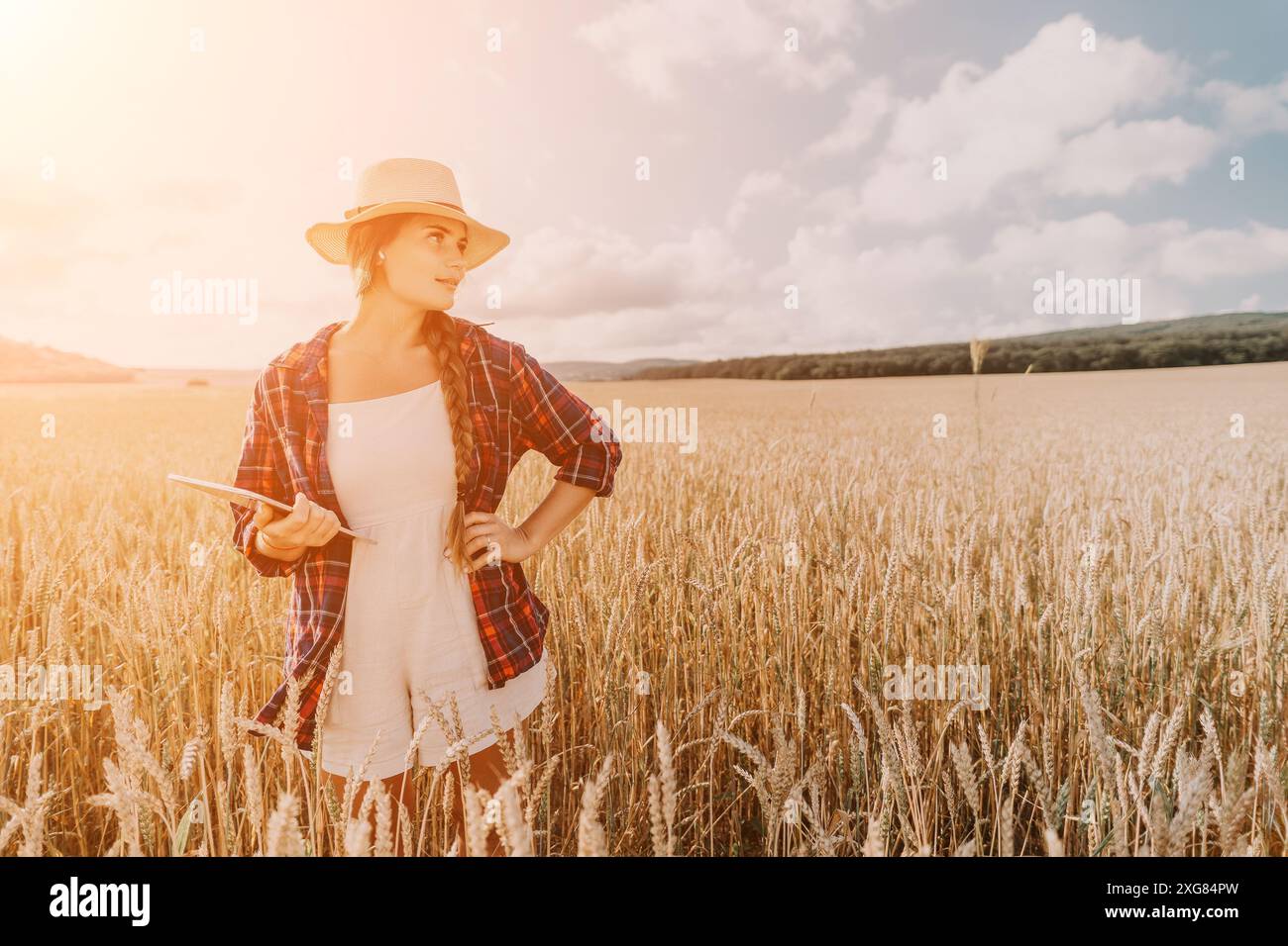 Donna campo di grano. Agronomo, agricoltore donna che controlla i picchi d'orzo maturo dorato nel campo coltivato. Primo piano della mano femminile sulla piantagione in agricoltura Foto Stock