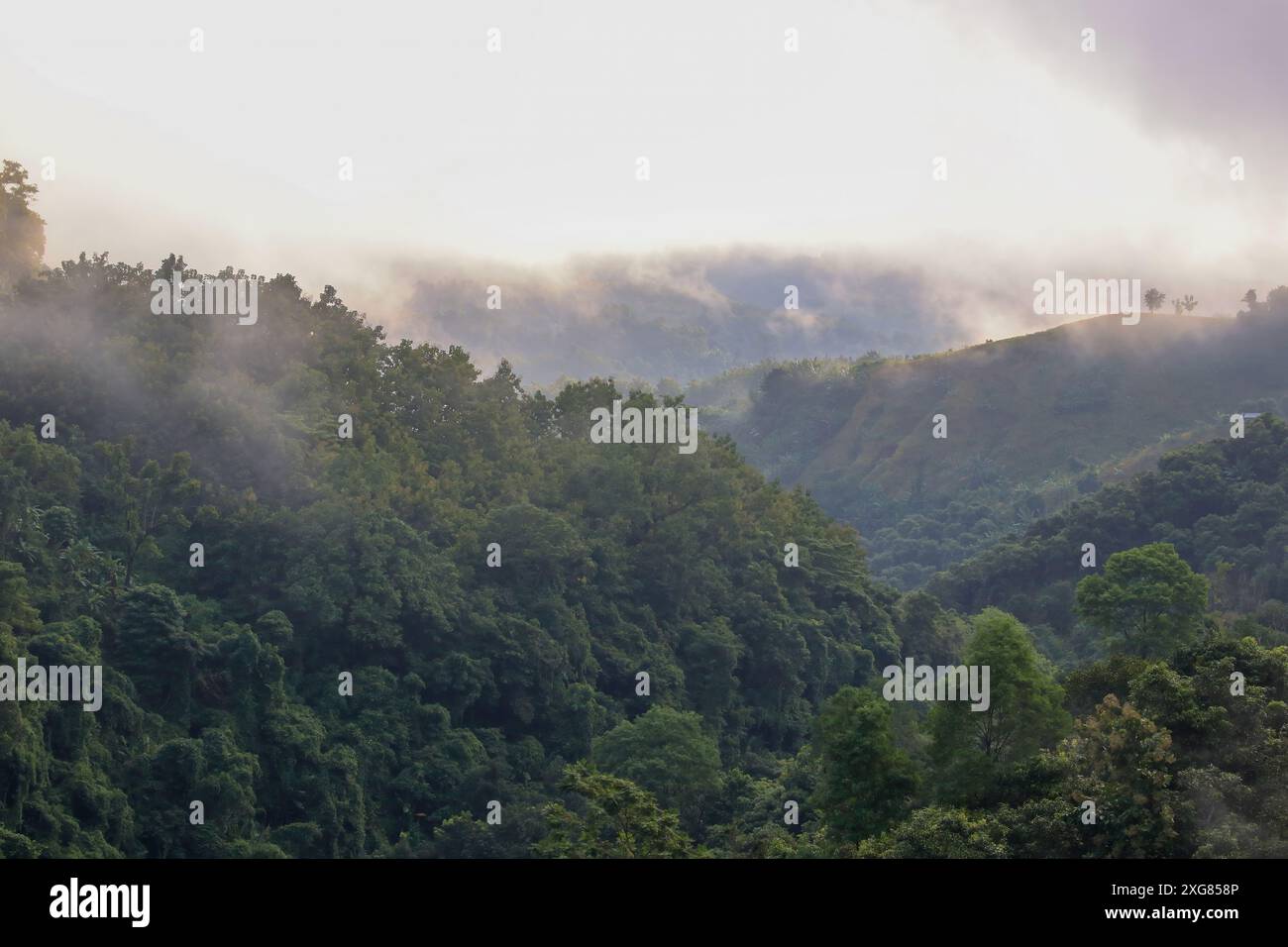 Nebbia tra le montagne. Questa foto è stata scattata da Chittagong, Bangladesh. Foto Stock