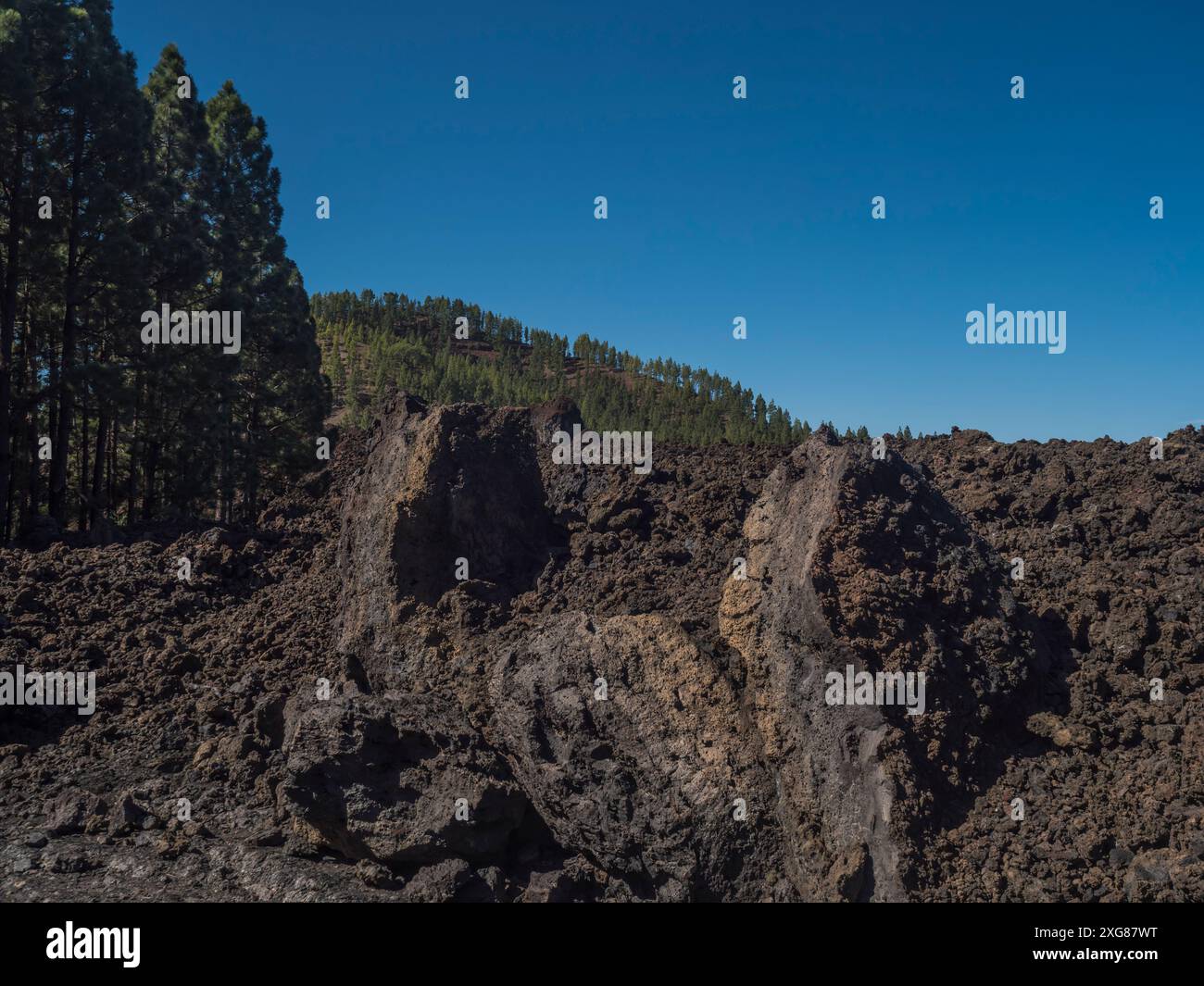 Paesaggio vulcanico al vulcano Chinyero percorso escursionistico circolare. Terra nera di cenere lavica e roccia, verdi pini endemici delle isole Canarie, oceano atlantico e. Foto Stock