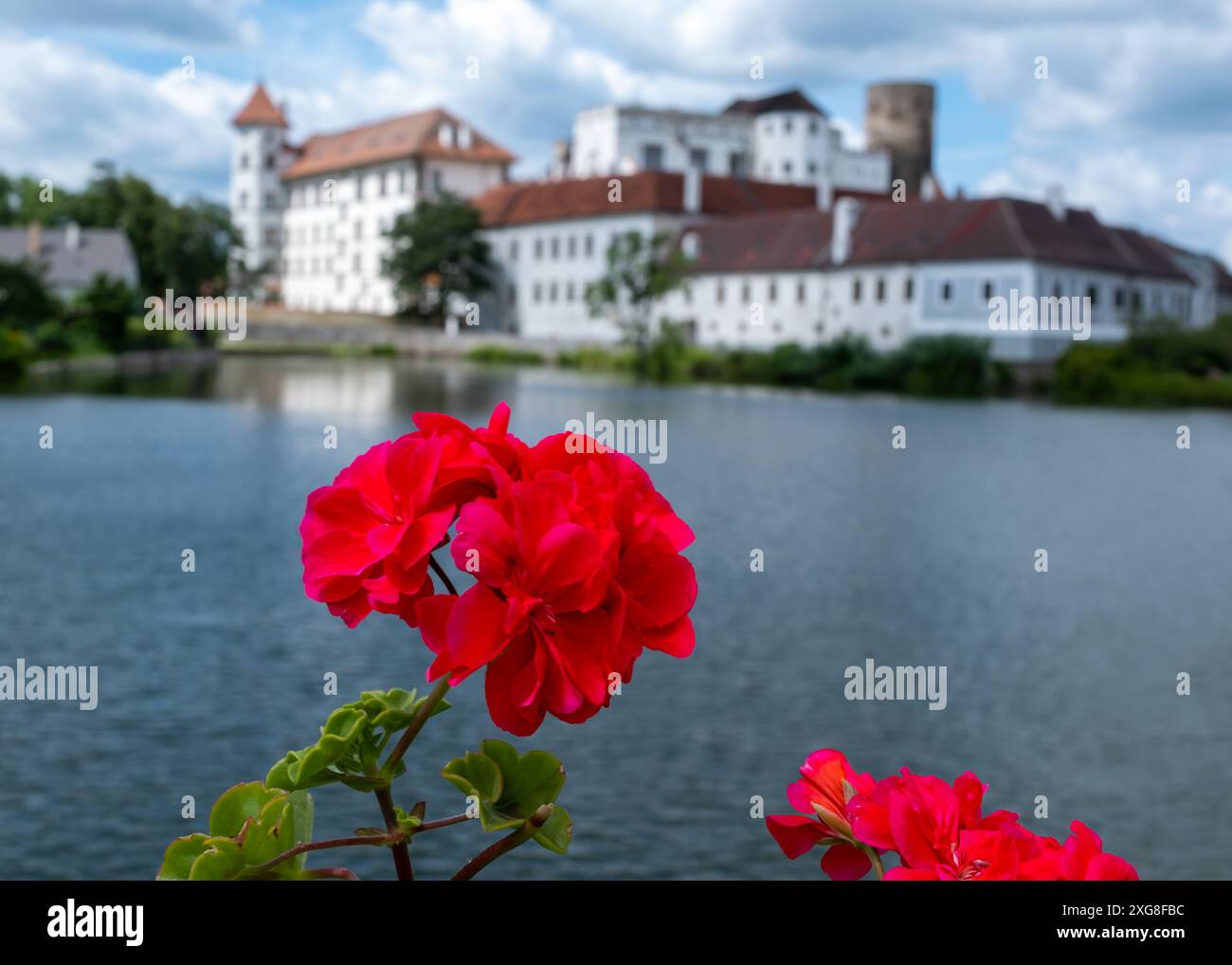Fiori rossi di fronte a un castello a caso Foto Stock