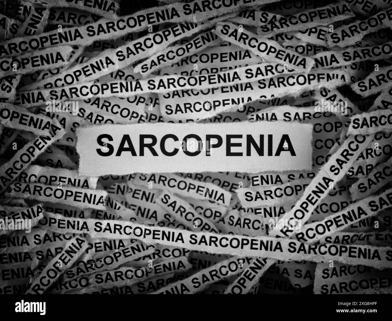 Strisce di giornali con le parole Sarcopenia. Bianco e nero. Primo piano. Foto Stock