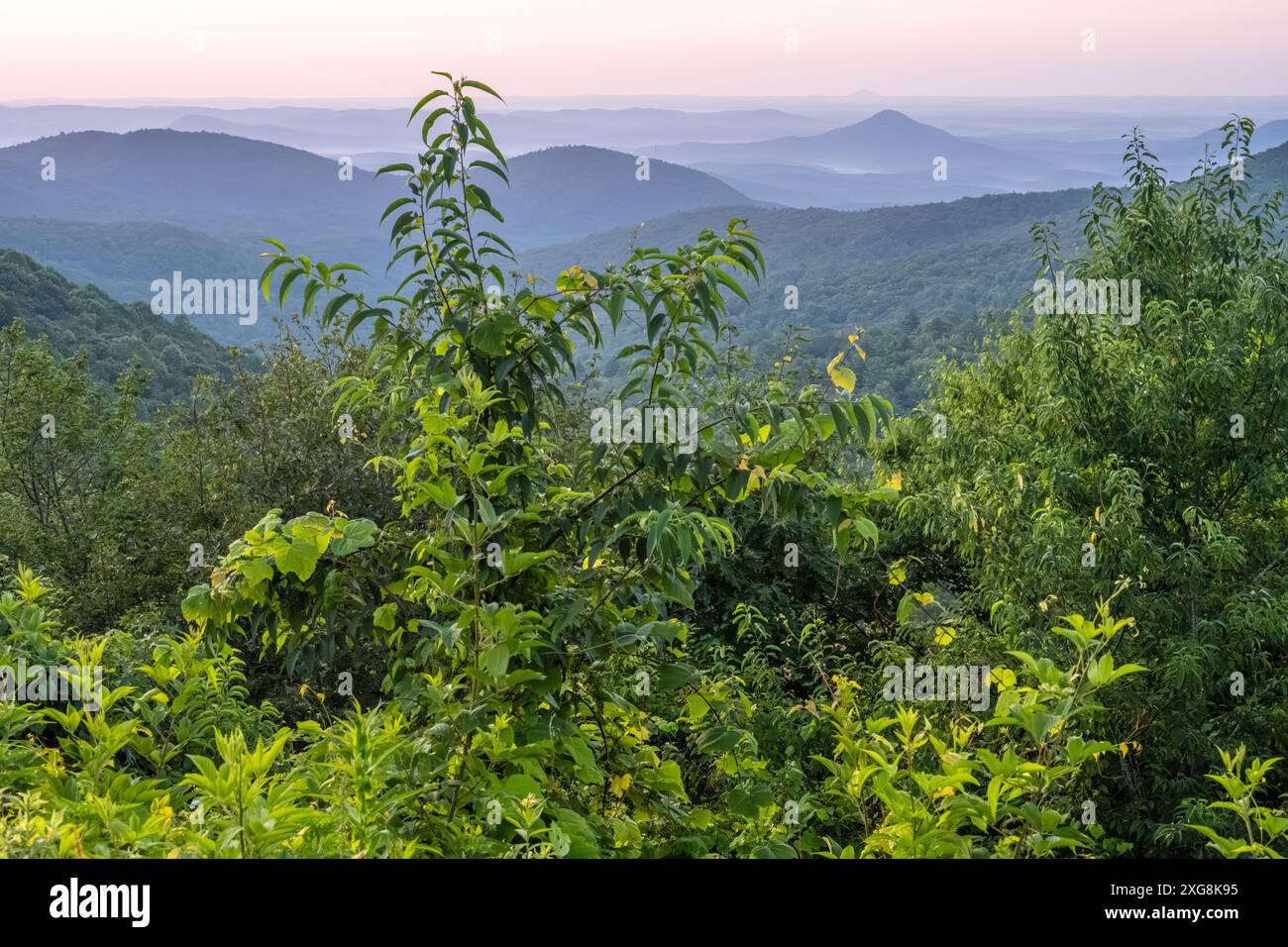 Vista dell'alba sulle Blue Ridge Mountains della Georgia dalla Richard B. Russell Scenic Highway tra Blairsville e Helen, Georgia. (USA) Foto Stock