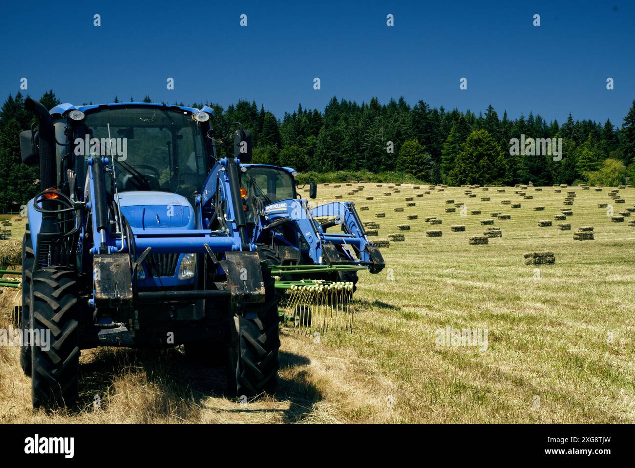 Trattore sul bordo del campo di fieno. Foto Stock