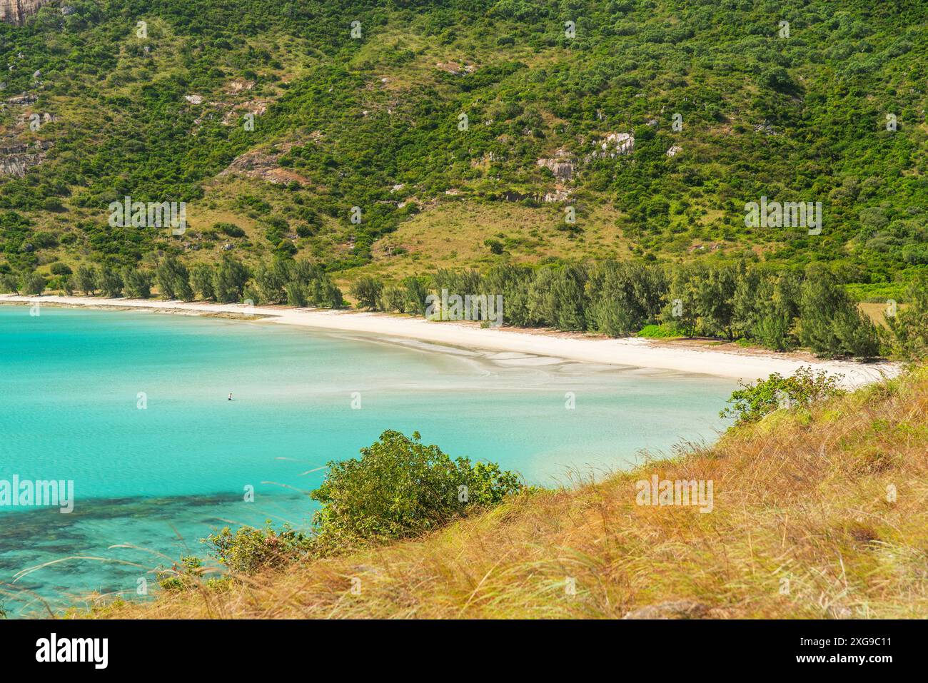 Pittoresca spiaggia tropicale di sabbia di Watsons con acqua turchese a Lizard Island, Australia. Lizard Island si trova sulla grande Barriera Corallina nel nord di ea Foto Stock