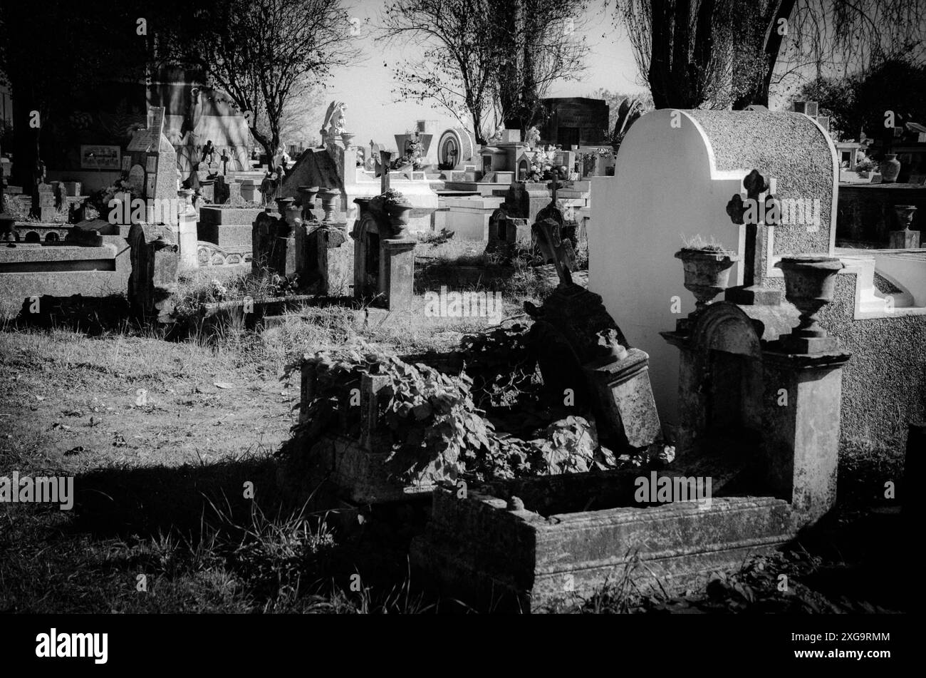 Antiche tombe al Cementerio General de Concepción, Cile Foto Stock