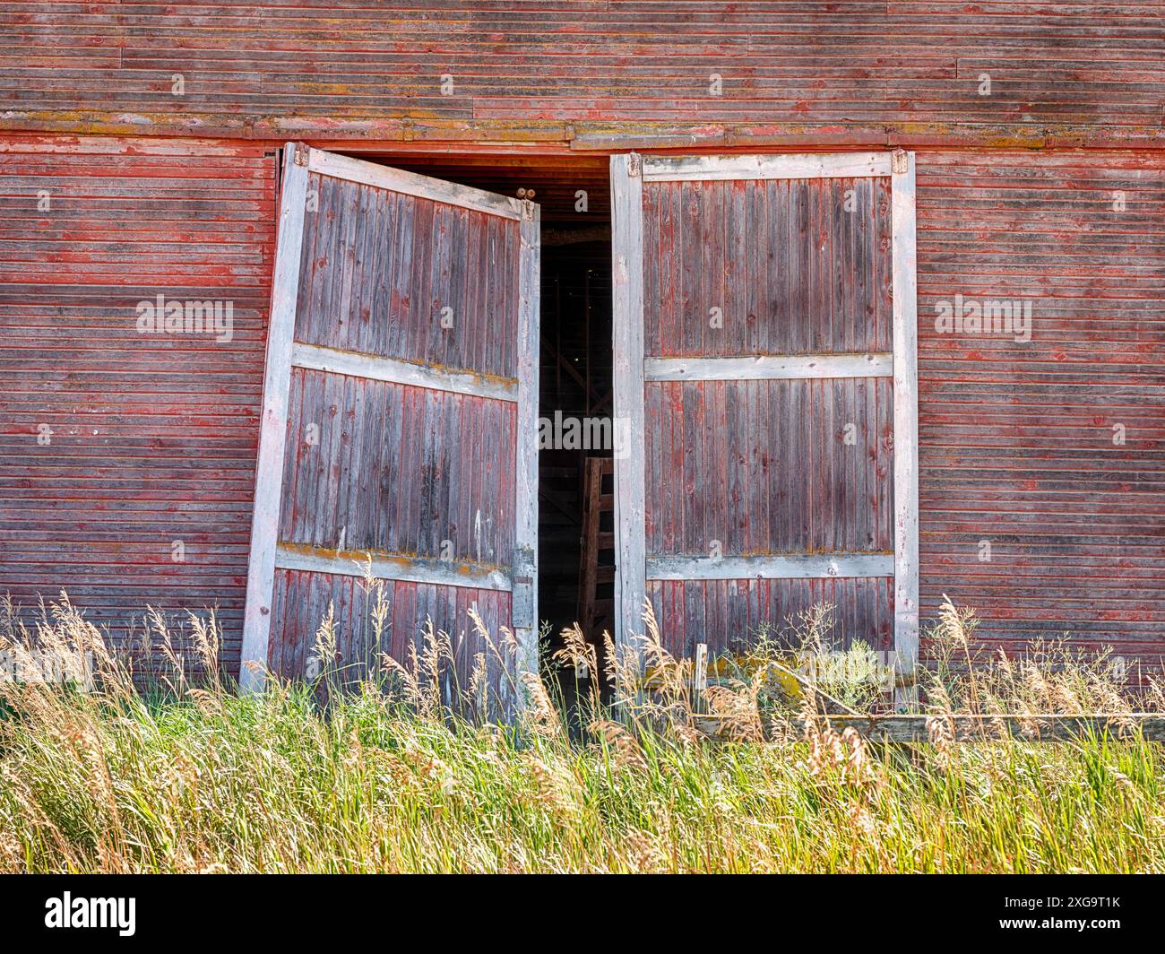 Due porte su un fienile rosso nella zona di Palouse nello stato di Washington sono sospese. Foto Stock