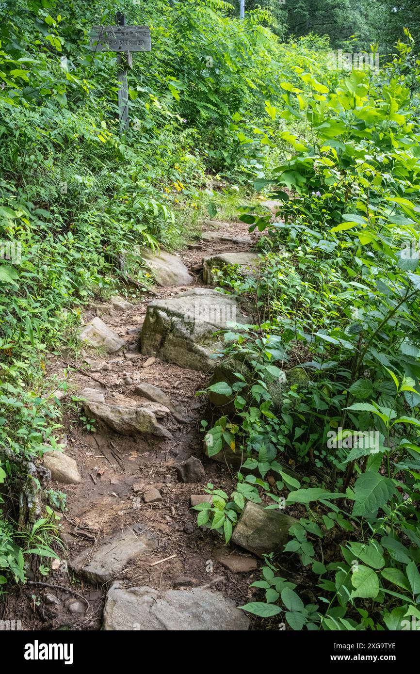 Sezione del Blood Mountain Trail dell'Appalachian Trail a Neel Gap vicino Blairsville, Georgia. (USA) Foto Stock