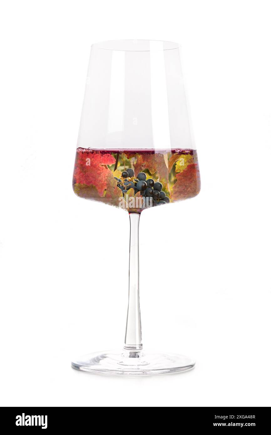 Vino, vendemmia autunnale. Vigneto in collage di vetro, isolato su sfondo bianco. Uve e foglie di vino rosso colorato in un potere di tendenza Foto Stock