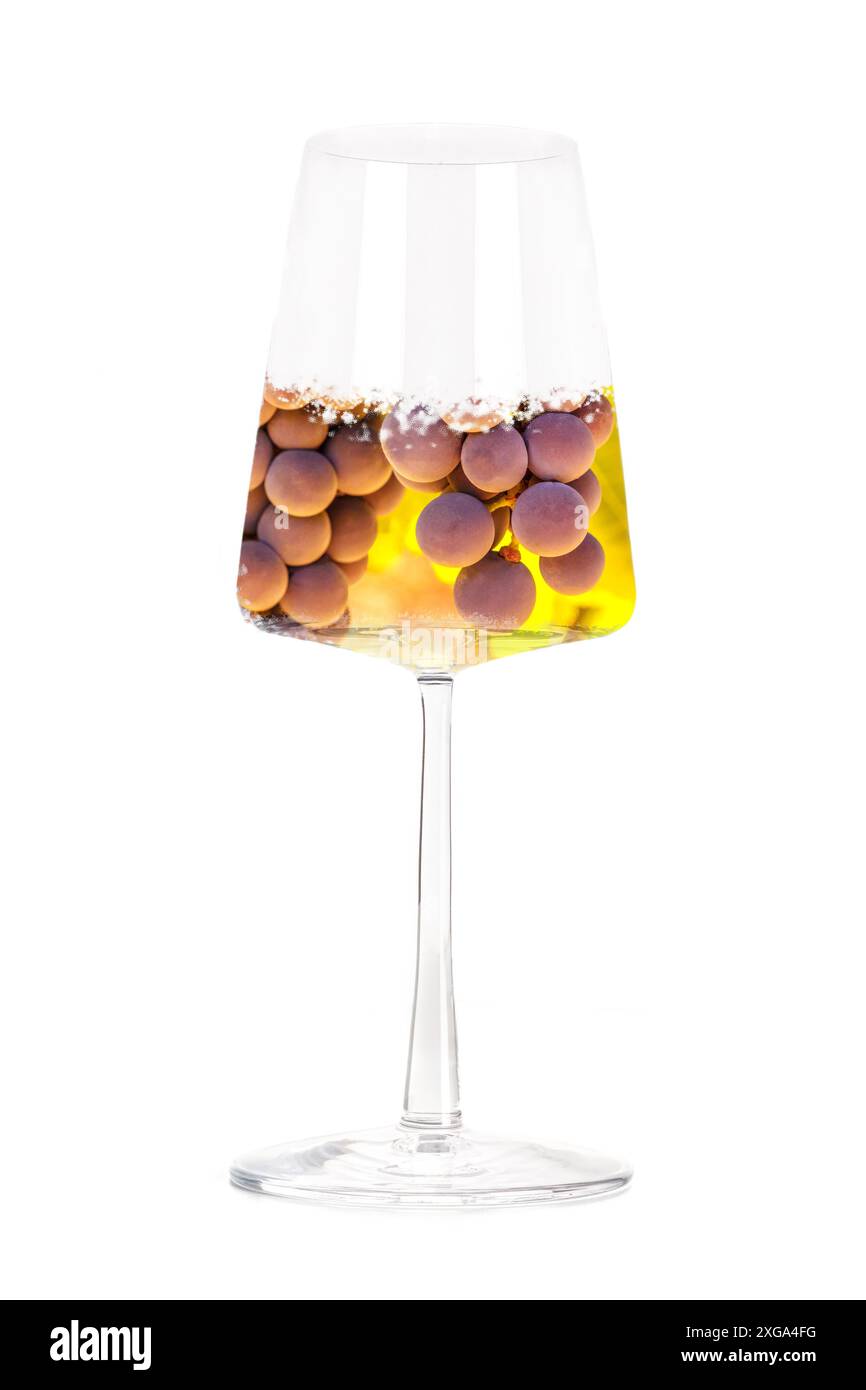 Blanc de noirs, vino bianco ottenuto da uve da vino rosso. Vigneto in un moderno collage creativo in vetro, isolato su sfondo bianco Foto Stock