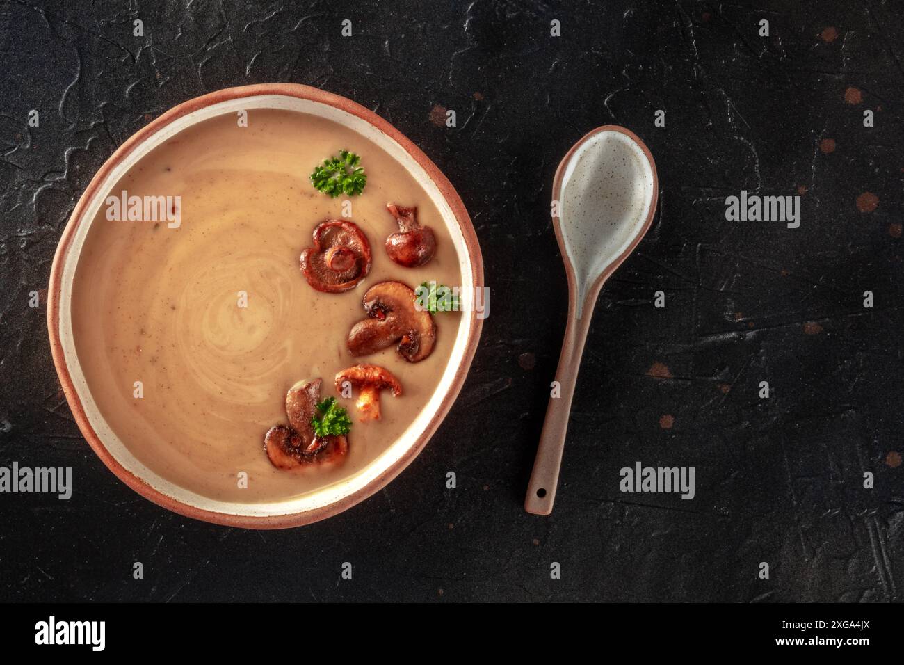 Zuppa di funghi, sparata dall'alto su sfondo nero, con un posto per il testo Foto Stock