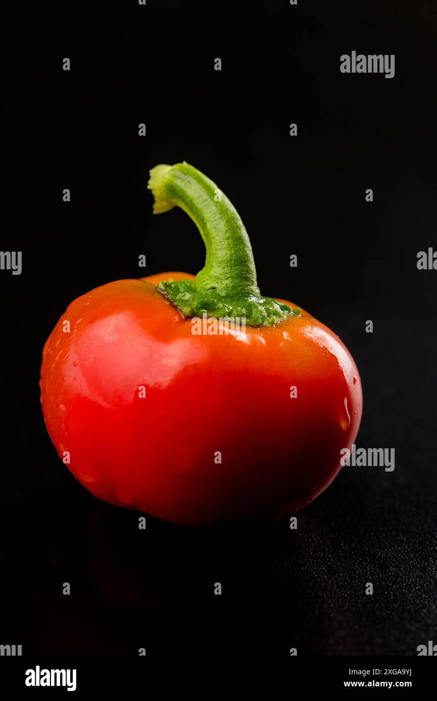 Peperoncino singolo su nero Foto Stock