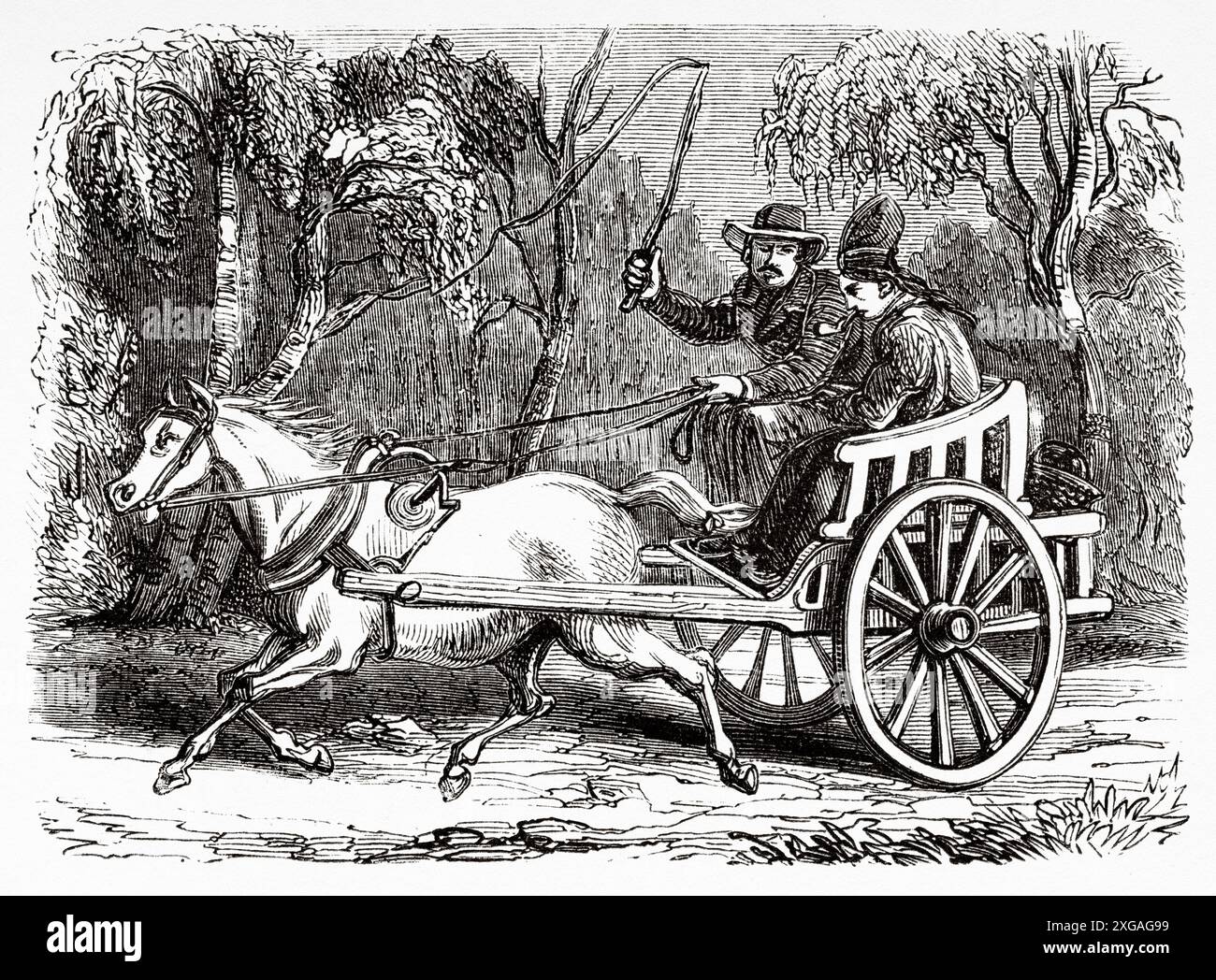 Postilion lappone su un carro trainato da un cavallo trotto, Svezia. Viaggia negli stati scandinavi, nel 1856, in Svezia e in Lapponia. Testi e disegni di San Biagio. Le Tour du Monde 1862 Foto Stock